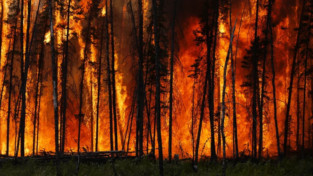 Bencana Asap di Kalimantan Barat Kebakaran Lahan Memuncak Akibat Kondisi Cuaca Ekstrem